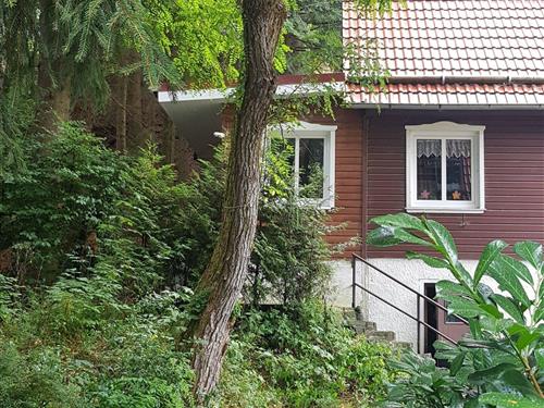 Ferielejlighed - 4 personer -  - Hindenburgstrasse - 38709 - Wildemann