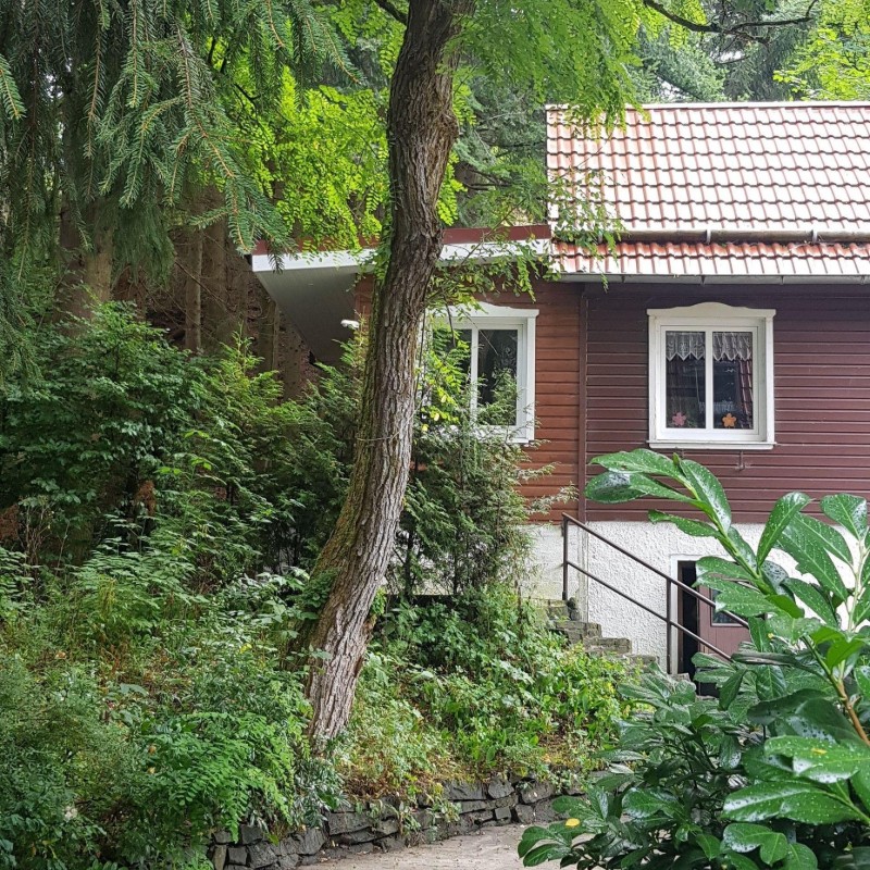 Ferielejlighed - 4 personer -  - Hindenburgstrasse - 38709 - Wildemann