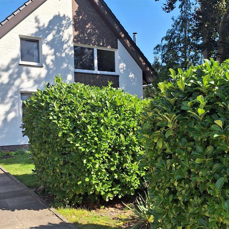 Ferielejlighed - 4 personer -  - Schillerstraße - 21423 - Winsen - Luhe