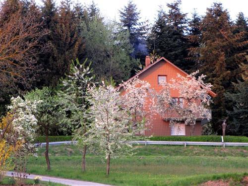 Semesterhus/Semesterlägenhet - 7 personer -  - Thann - 92431 - Neunburg Vorm Wald