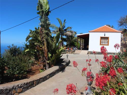 Sommerhus - 3 personer -  - Camino El Pinar - 38780 - Tijarafe