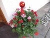 Bild 13