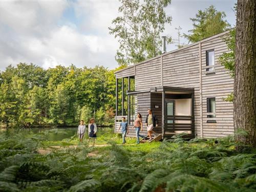 Herrgård / Palats - 4 personer -  - 7640 - Antoing