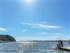 Bild 5 - Ude