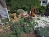 Bild 10