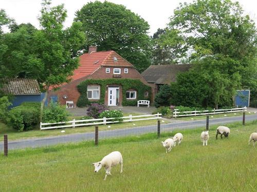 Holiday Home/Apartment - 4 persons -  - 26969 - Butjandingen-Fedderwarder