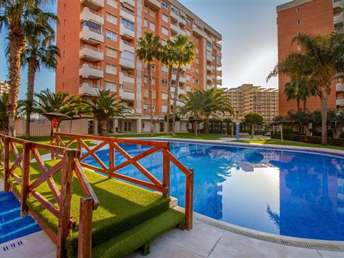 Holiday apartment - 4 persons -  - Avenida Oviedo - San Juan - 03540 - Alicante (Alacant)
