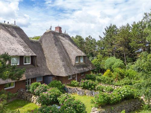 Sommerhus - 5 personer -  - Süderheidetal - 25992 - List Auf Sylt