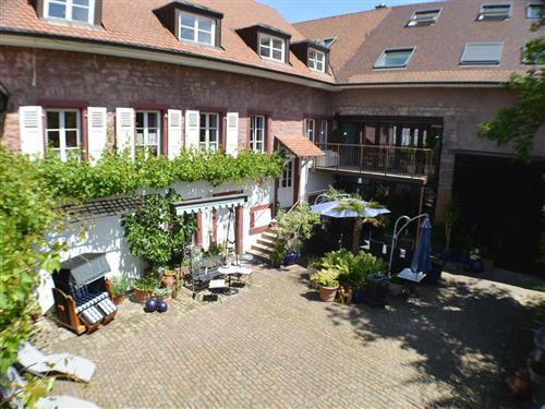 Semesterhus/Semesterlägenhet - 6 personer -  - Branchweilerhof - 67433 - Neustadt An Der Weinstraß