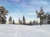 Bild 30 - Aktivitet