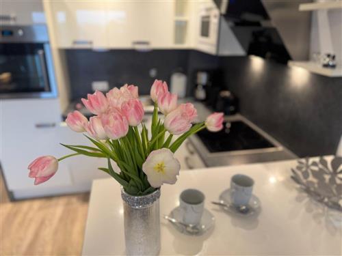 Ferielejlighed - 3 personer -  - Kjeirstraße - 25980 - Sylt/Westerland