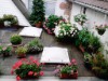 Bilde 24