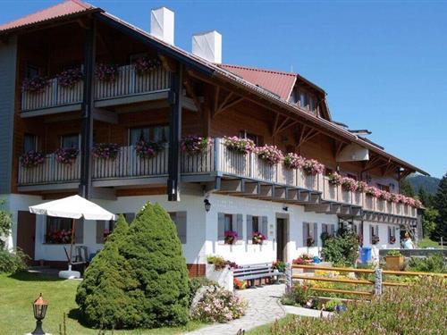 Semesterhus/Semesterlägenhet - 6 personer -  - 94089 - Neureichenau