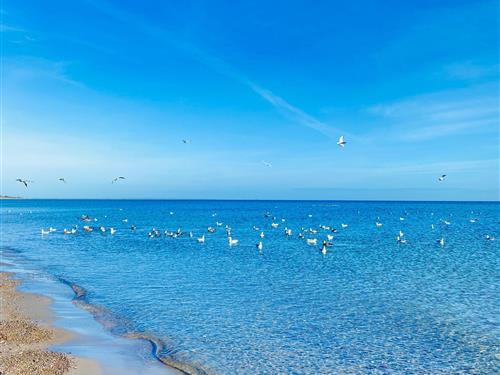 Ferieleilighet - 5 personer -  - Angelnstraße - 24404 - Maasholm