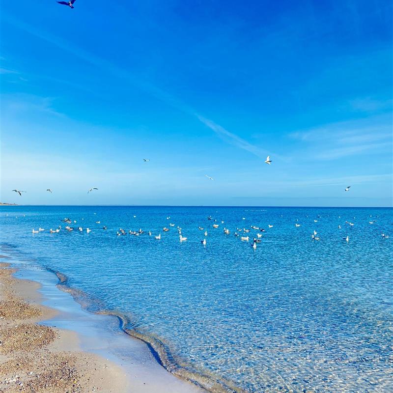 Ferielejlighed - 5 personer -  - Angelnstraße - 24404 - Maasholm