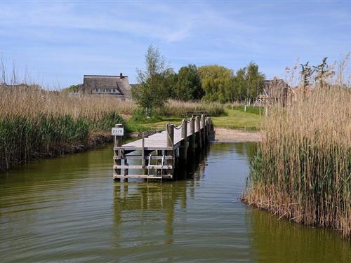 Ferielejlighed - 2 personer -  - Koppelstrom - 18375 - Born