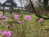 Bild 41