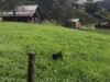 Bild 21 - Aussen