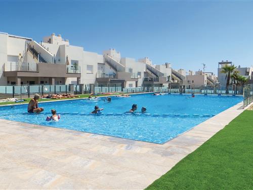 Ferielejlighed - 5 personer -  - Calle Rosa Diez Gonalez - 03181 - Torrevieja