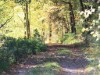Bild 35 - Ude