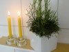 Bild 50