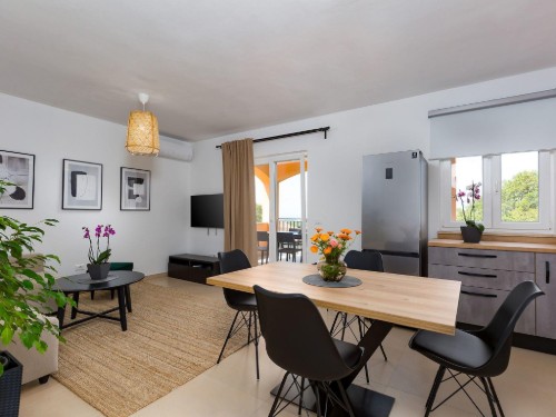 Holiday home - 8 persons -  - 52440 - Dracevac