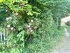 Bild 22