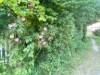 Bild 22