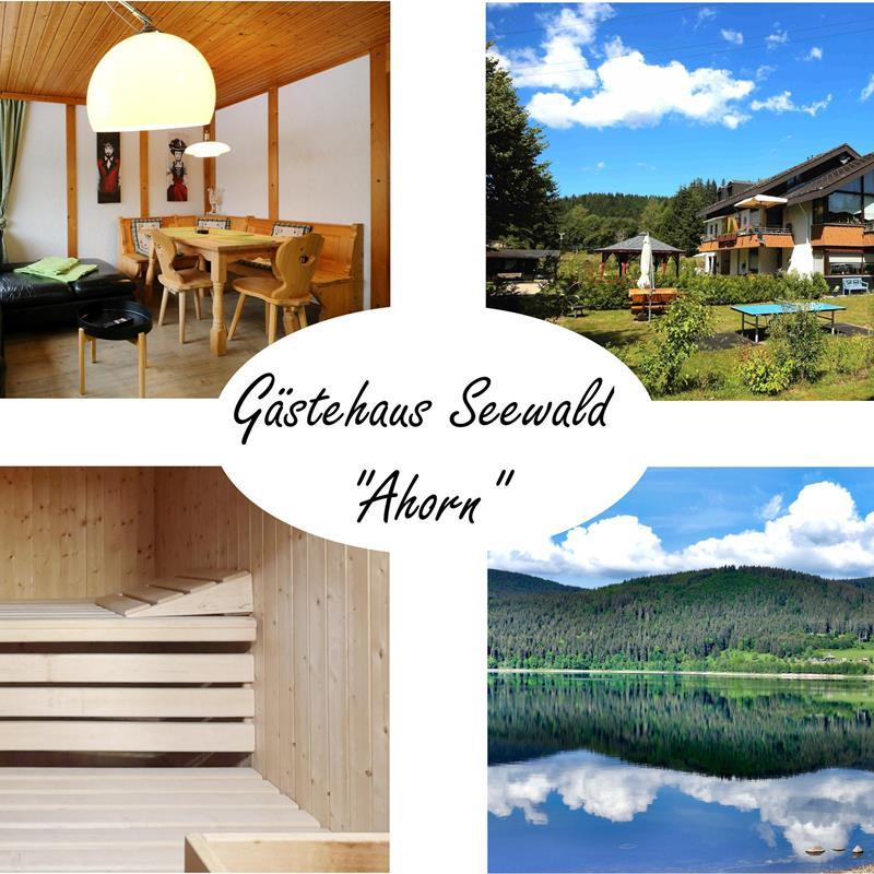 Ferielejlighed - 4 personer -  - Finkenwiese - 79859 - Schluchsee