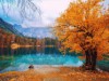 Bild 23