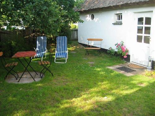 Ferielejlighed - 2 personer -  - Hauptstraße - 18375 - Wieck A. Darß