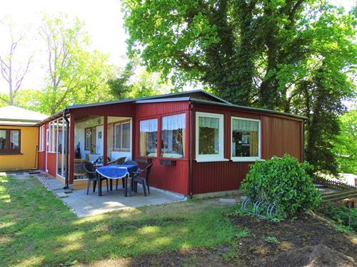 Semesterhus/Semesterlägenhet - 4 personer -  - Teufelsberg - 17459 - Loddin / Stubbenfelde