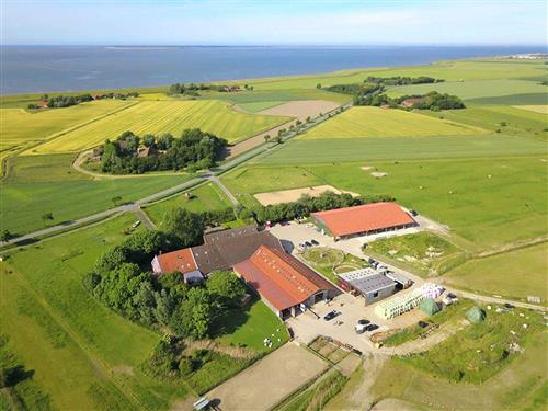 Bondegård - 6 personer -  - Störtebekerstraße - 26427 - Ostbense
