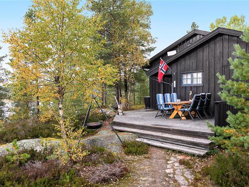 Semesterhus/Semesterlägenhet - 10 personer -  - Birtedalsvegen - Telemark, Fyresdal - 3870 - Fyresdal