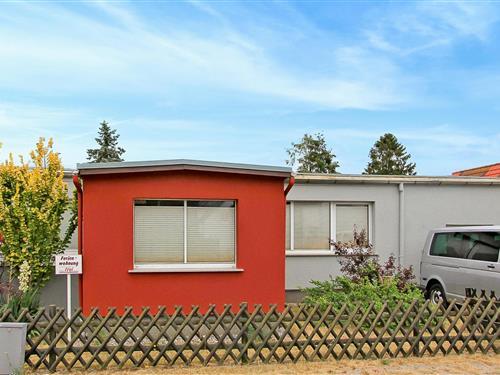 Ferienhaus - 7 Personen -  - Blumenstraße - 17454 - Zinnowitz (Seebad)
