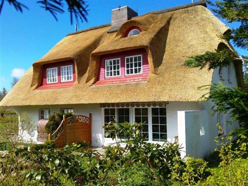 Ferienhaus - 4 Personen -  - Hochstieg - 25938 - Nieblum