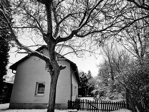 Holiday apartment - 6 persons -  - Herwigsdorfer Str. - 02763 - Zittau