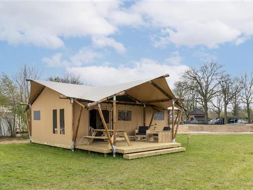 Glamping telt - 4 personer -  - 7466PD - Zuna