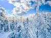Bild 21 - Inde