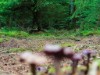 Bild 22