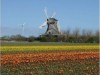 Bild 20