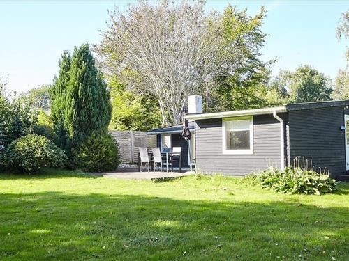 Ferienhaus - 4 Personen -  - Ordrup Strandvej - Veddinge Bakker & Ordrup - 4540 - Faarevejle
