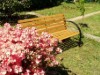 Bild 17