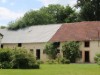 Bild 12