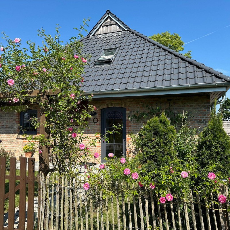 Ferielejlighed - 4 personer -  - Schwarze Straße - 18311 - Ribnitz-Damgarten / Beier