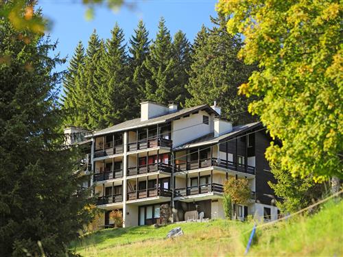 Holiday Home/Apartment - 4 persons -  - Alpe Des Chaux - 1882