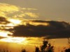 Bild 48