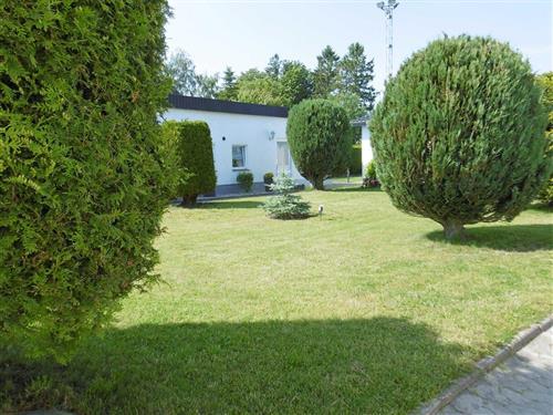 Holiday Home/Apartment - 2 persons -  - Ferienwohnung in Thesenvitz, Zehlen - 18528 - Bergen Auf Rügen / Thesen