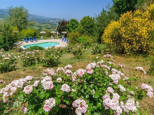 Sommerhus - 5 personer -  - Via S. Paterniano - Cagli - 61043 - Cagli Pu