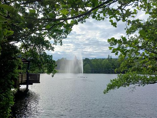Ferieleilighet - 2 personer -  - Hohlweg - 66709 - Weiskirchen